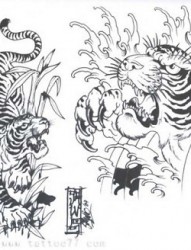 两组传统老虎纹身图片