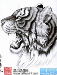 帅气的老虎虎头纹身手稿