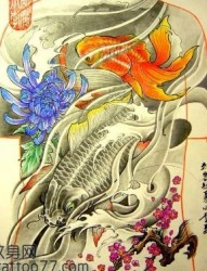 超好看的满背鲤鱼菊花纹身手稿