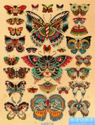 漂亮流行的一组蝴蝶纹身手稿