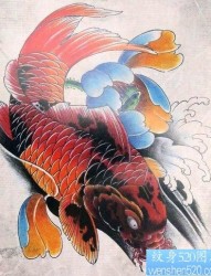 漂亮的彩色鲤鱼与莲花纹身手稿