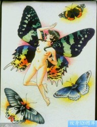 一组前卫精美的彩色蝴蝶纹身手稿