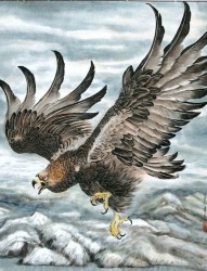 彩色雄鹰在云端翱翔的纹身手稿
