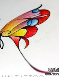一张前卫小巧的蝴蝶纹身手稿