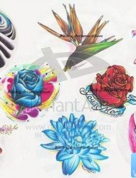 一组漂亮精美的花卉纹身