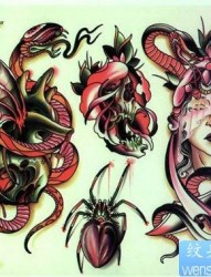 前卫经典的一组蛇蜘蛛纹身手稿