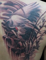 背部一只孤独的丹顶鹤纹身