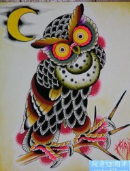 流行很帅的猫头鹰纹身手稿