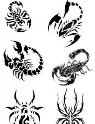 纹身520图库推荐一组蝎子蜘蛛纹身图片