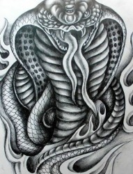 黑白蛇形纹身图案手稿