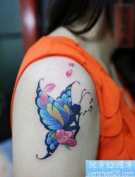 美女手臂漂亮的彩色蝴蝶精灵纹身图片