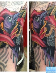 推荐大家欣赏一张个性的乌鸦纹身图片