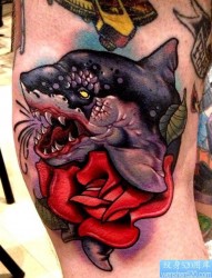 一张个性鲨鱼玫瑰花纹身作品