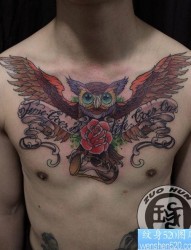 男生前胸超酷的 爱色猫头鹰纹身图片