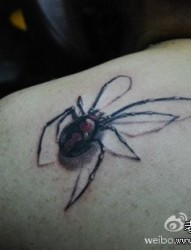 男生肩背超酷的蜘蛛纹身图片