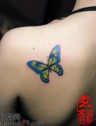 美女肩部唯美经典的蝴蝶纹身图片