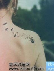 流行时尚的蒲公英图腾小鸟纹身图片