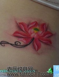 唯美的好看的莲花纹身图片