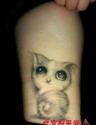 女人纹身图片―可爱时尚的猫咪纹身图片
