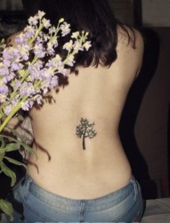 美女背部精美流行的图腾树纹身图片