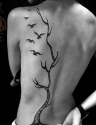 美女背部流行唯美的图腾树与小鸟纹身图片