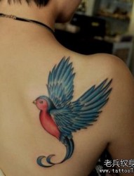一张美女肩背彩色小鸟纹身图片