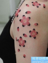 美女手臂精美的彩色樱花纹身图片
