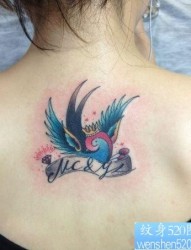 女孩子背部欧美风格小燕子纹身图片