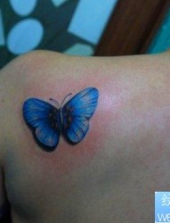 美女肩部漂亮的彩色蝴蝶纹身图片