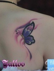 女人肩背漂亮的彩色蝴蝶纹身图片