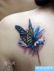 女性背部一张蝶恋花纹身图片
