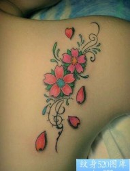 女人肩背漂亮的彩色樱花纹身图片