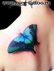 美女肩背漂亮流行的彩色蝴蝶纹身图片