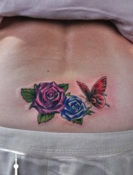 美女腰部漂亮的彩色玫瑰花与蝴蝶纹身图片