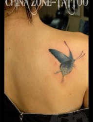 女人肩背漂亮好看的蝴蝶纹身图片