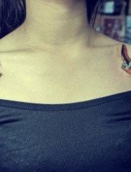 美女肩膀处漂亮前卫的小燕子纹身图片