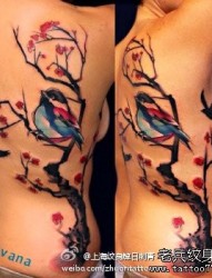 美女侧腰到后背喜鹊与梅花纹身图片