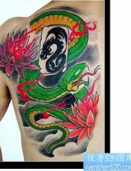 蛇纹身图片：肩部彩色蛇莲花纹身图案
