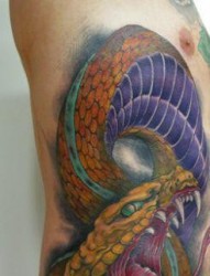 蛇纹身图片：腰部彩色传统蛇纹身图案