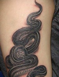 蛇纹身图片：经典帅气手臂蛇纹身图案