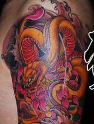 蛇纹身图片：手臂彩色蛇纹身图案