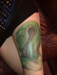 美女腿部一张彩色蛇纹身图片
