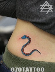 美女腰部好看的彩色小蛇纹身图片