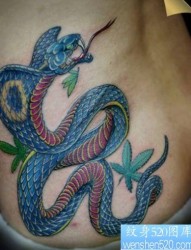 腰部帅气的蛇纹身图片
