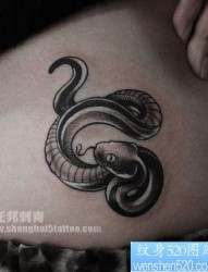 女孩子腰部可爱的小蛇纹身图片