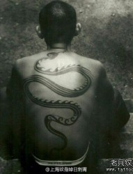男性后背前卫经典的图腾蛇纹身图片