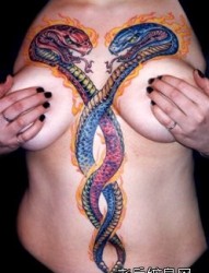 美女胸前超帅的火焰蛇纹身图片