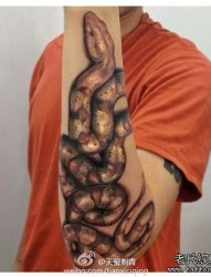 手臂前卫很帅的蛇纹身图片