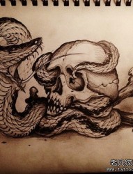 很帅经典的一张蛇与骷髅纹身手稿