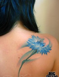 女性肩部好看的蓝色花朵